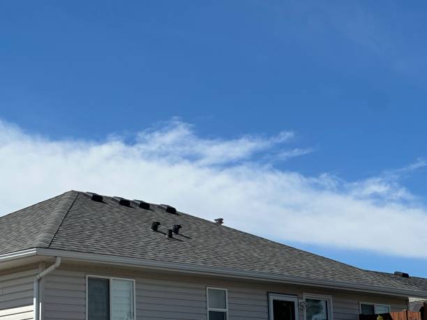 Reliable Rio Hondo, TX Roofing Services Solutions